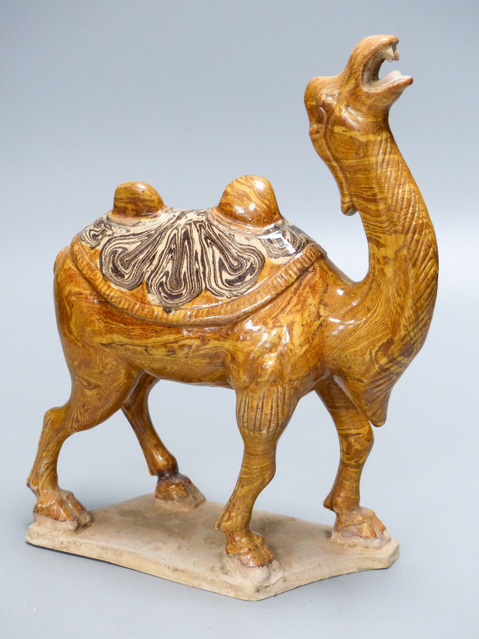 A Chinese Tang style jiaotai glazed pottery figure of a bactrian camel, 24.5 cm high